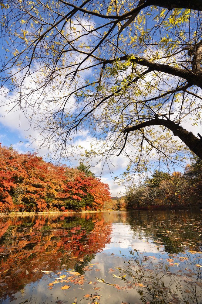 Photograph by EELIN Chan