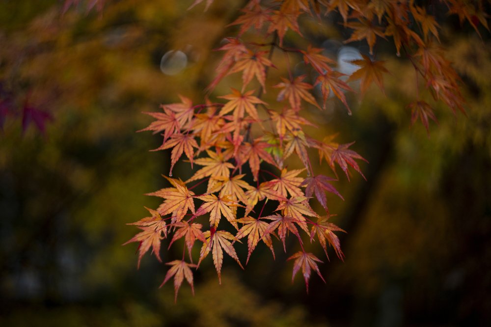 Photograph by EELIN Chan