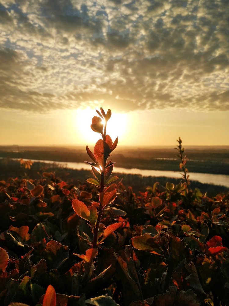 Photograph by Алёна Чернова