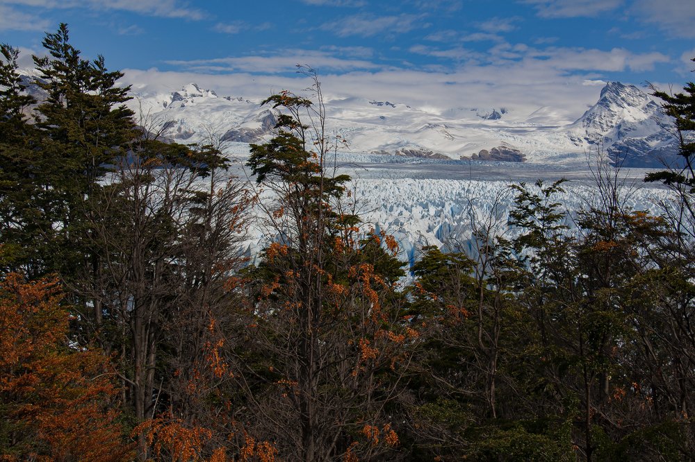 Glaciar Perito Moreno