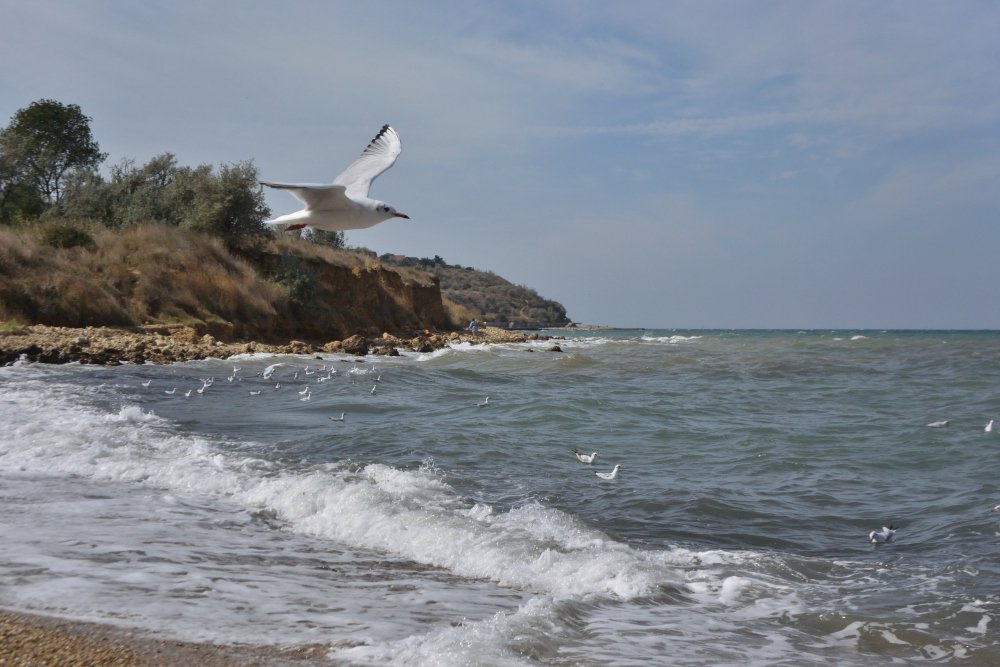 Photograph by Александр Карпенко