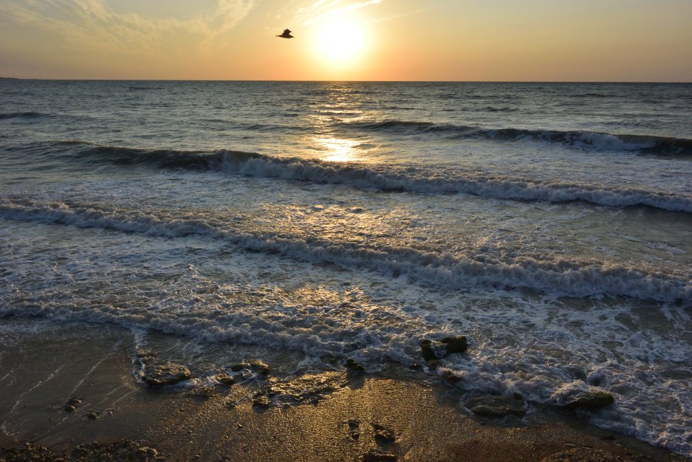 Photograph by Александр Карпенко