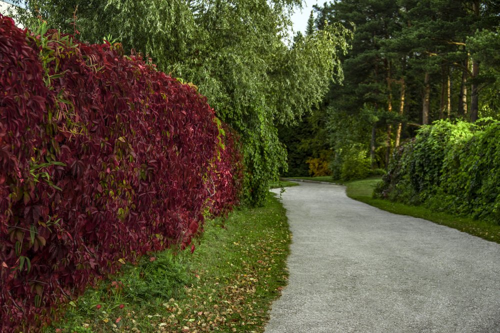 уходящая вдаль