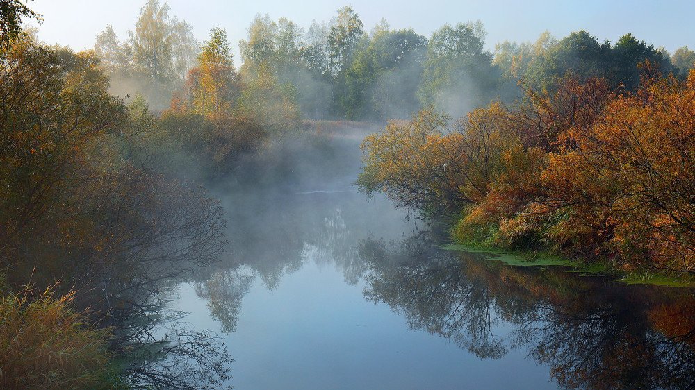 Утро на Десне