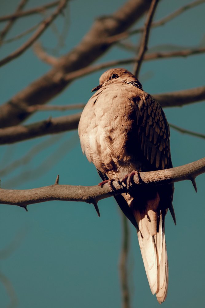 Photograph by Arunesh Mishra