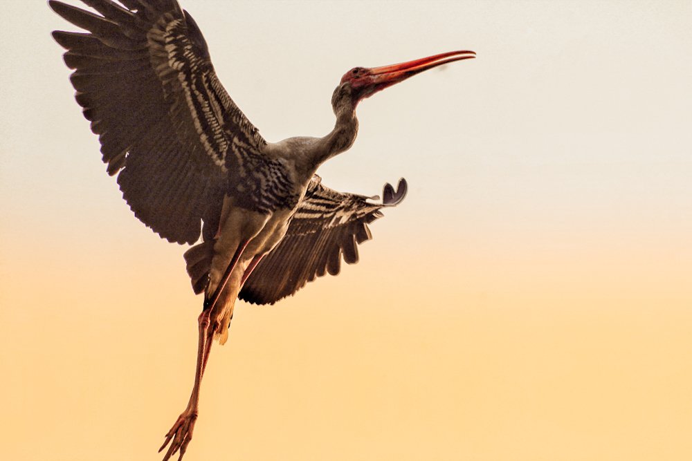 Photograph by Arunesh Mishra