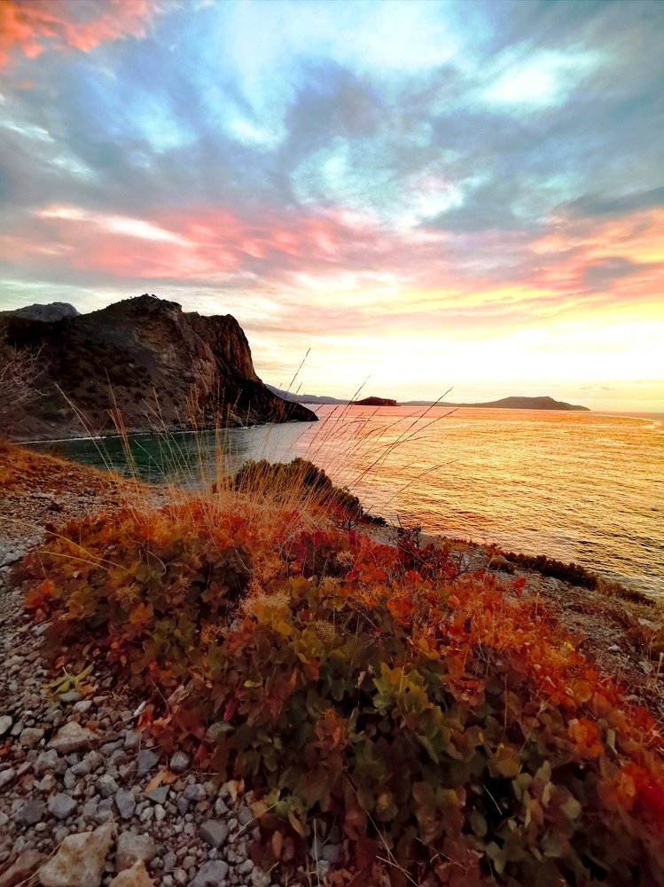 осенний бриз