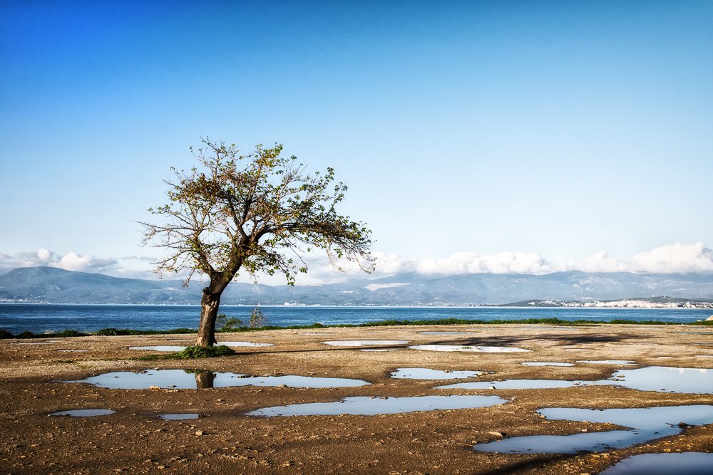 Photograph by Antonis Giakoumakis