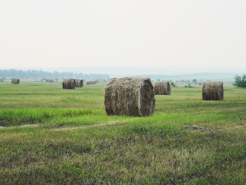 Photograph by Михаил Юматов