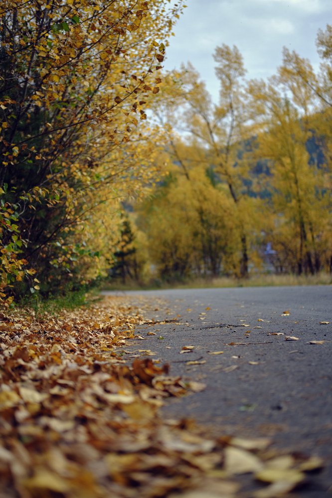 Photograph by Михаил Юматов