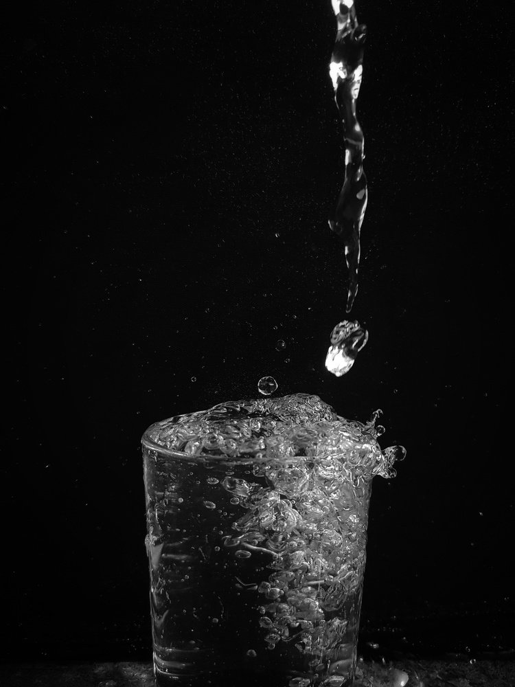 Photo #5049244