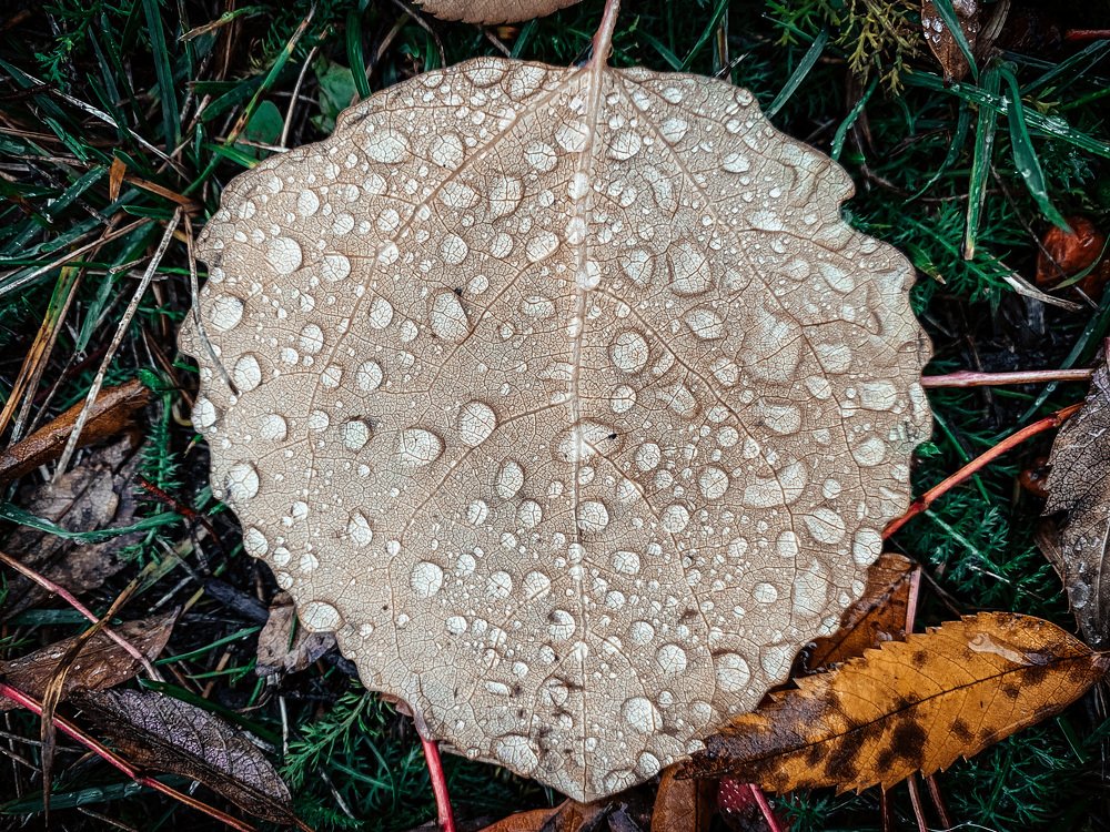 Photograph by Алексей Кабанихин