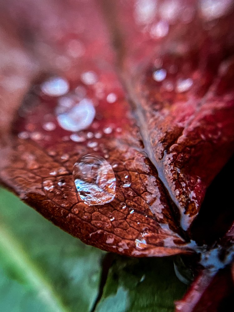 Photograph by Алексей Кабанихин