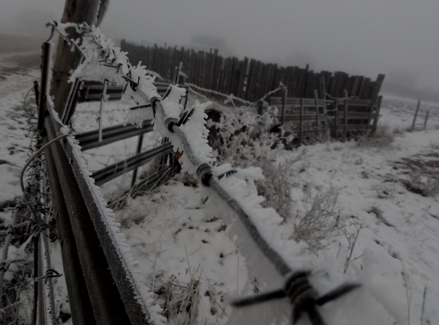 Photo #5049259