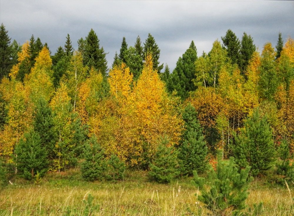 Photograph by Наталья Юршина