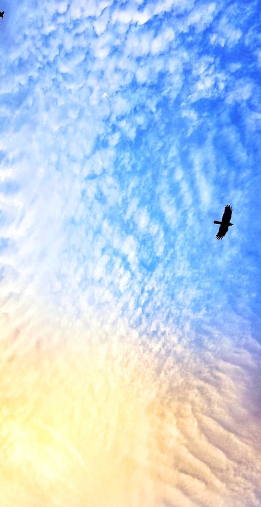 Photograph by Priya Lekshmi