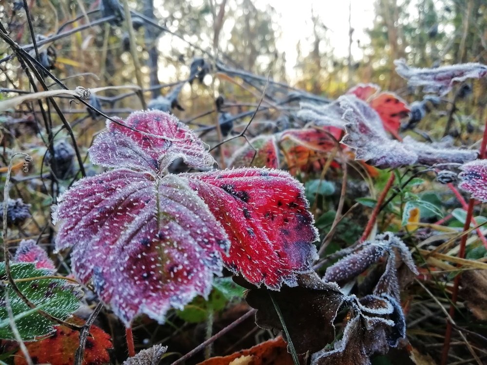 Photograph by Наталья Юршина