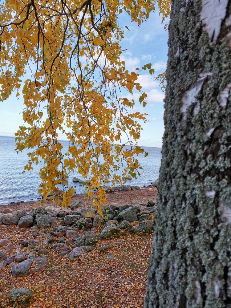 Photograph by Наталья