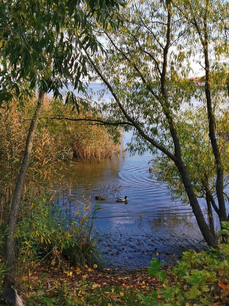 Сладкая парочка