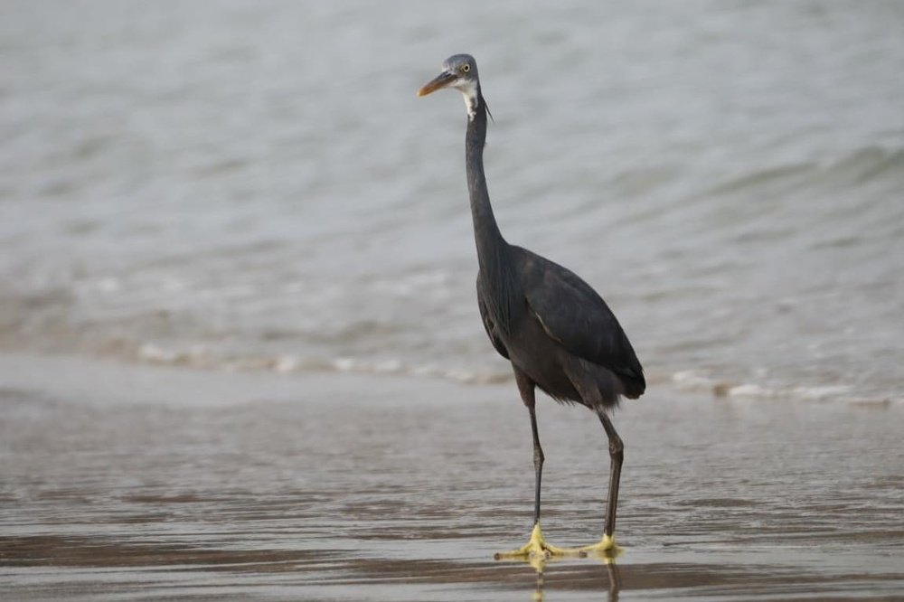 Photograph by Shabeeb