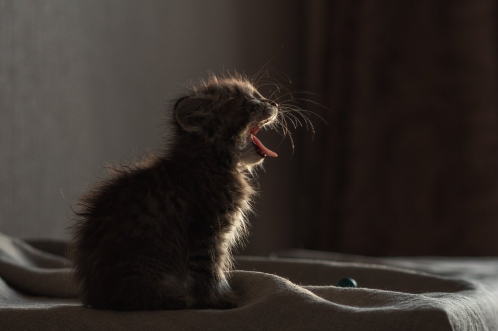 Photograph by Виктория Суркова