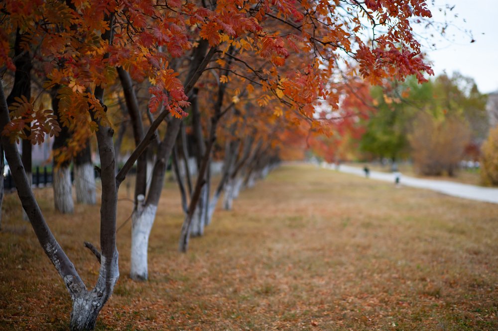 Photograph by Наталья Соболева