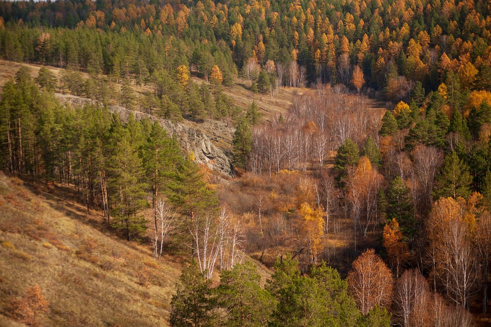 Photograph by Наталья Соболева