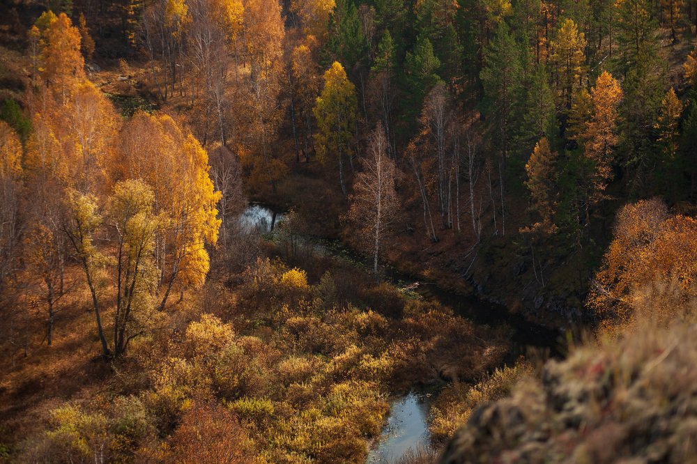 Photograph by Наталья Соболева