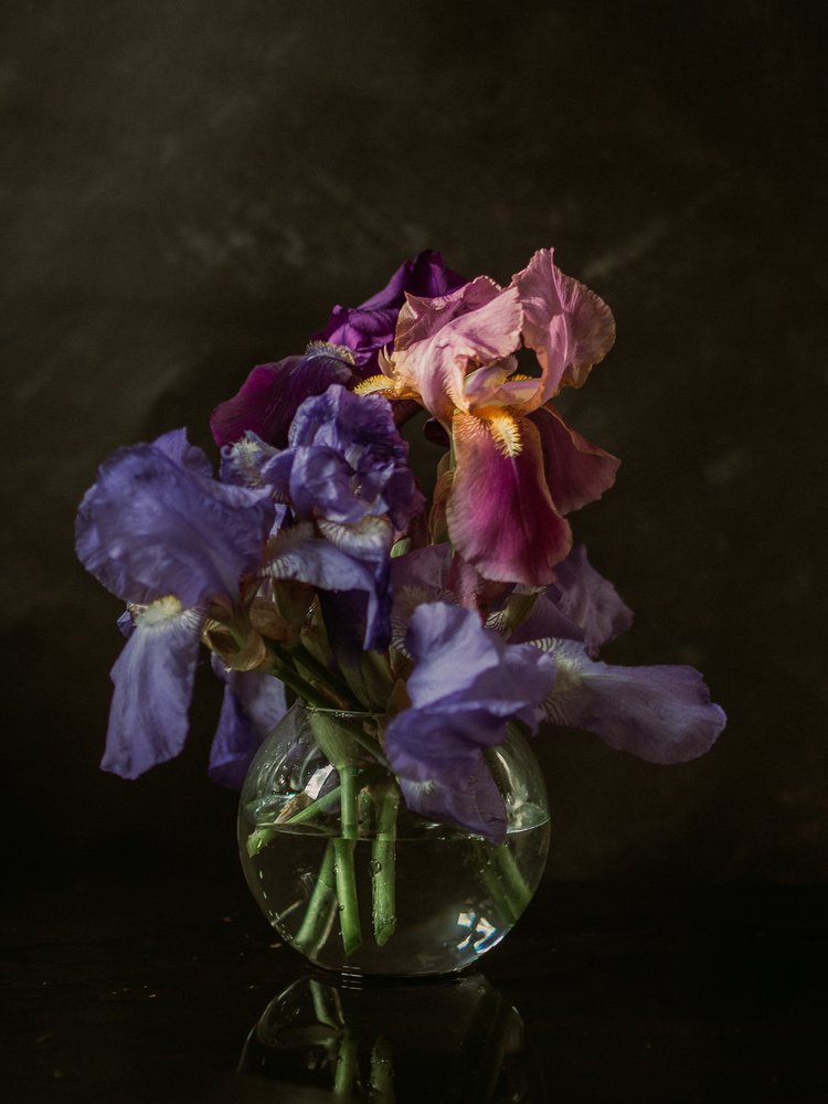 Photograph by Надежда Рачева