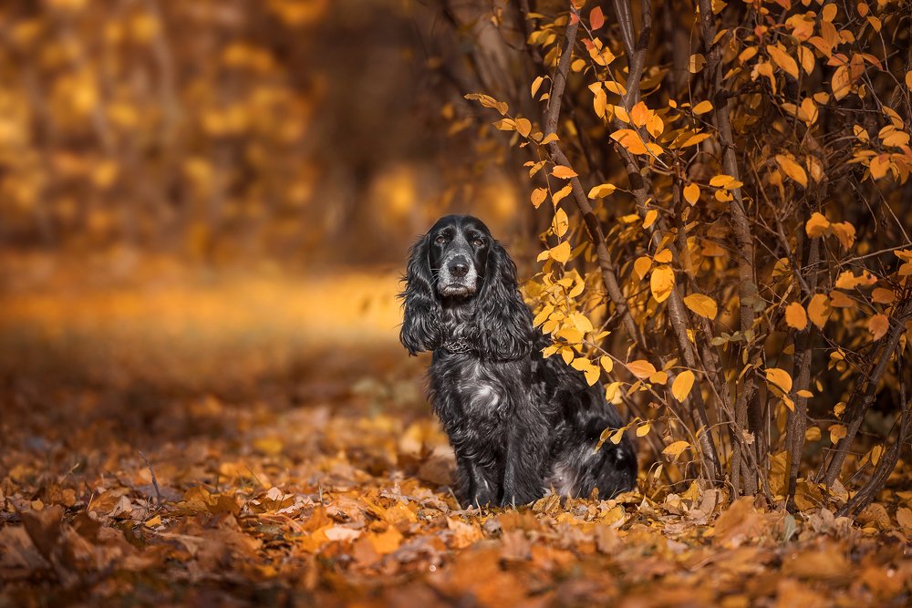 Photograph by Наталия Иванова