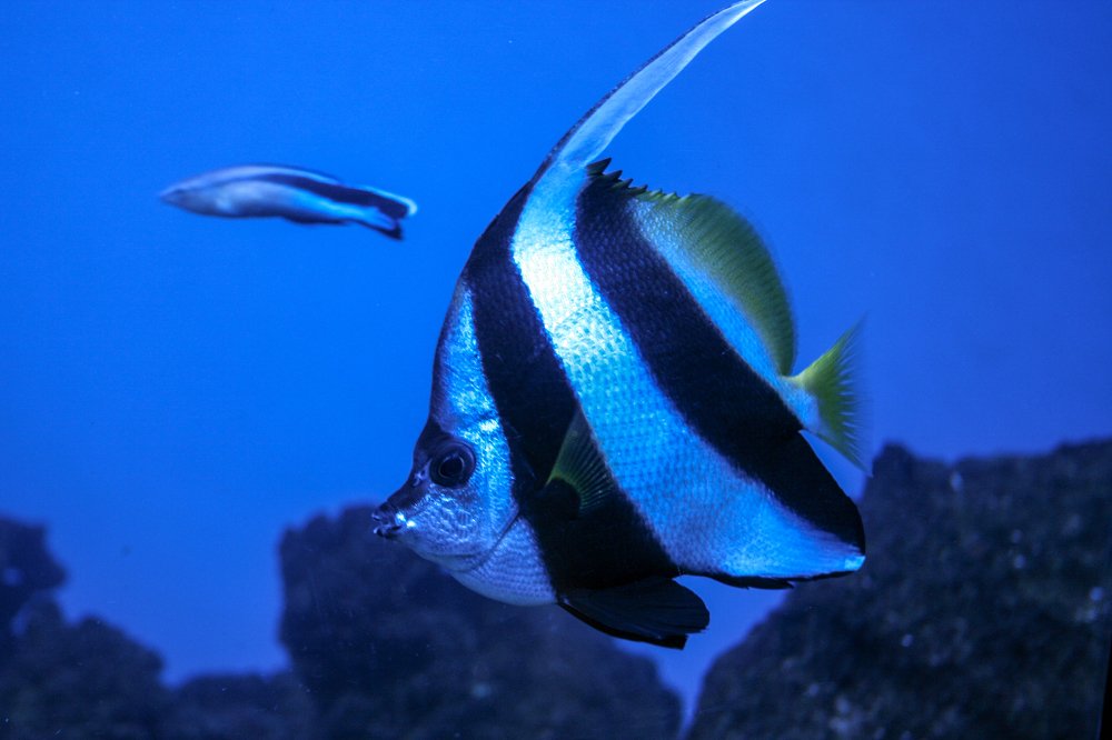 Photograph by Анна Гвоздовская