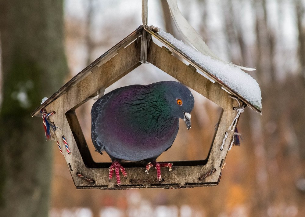 Photograph by Анна Гвоздовская