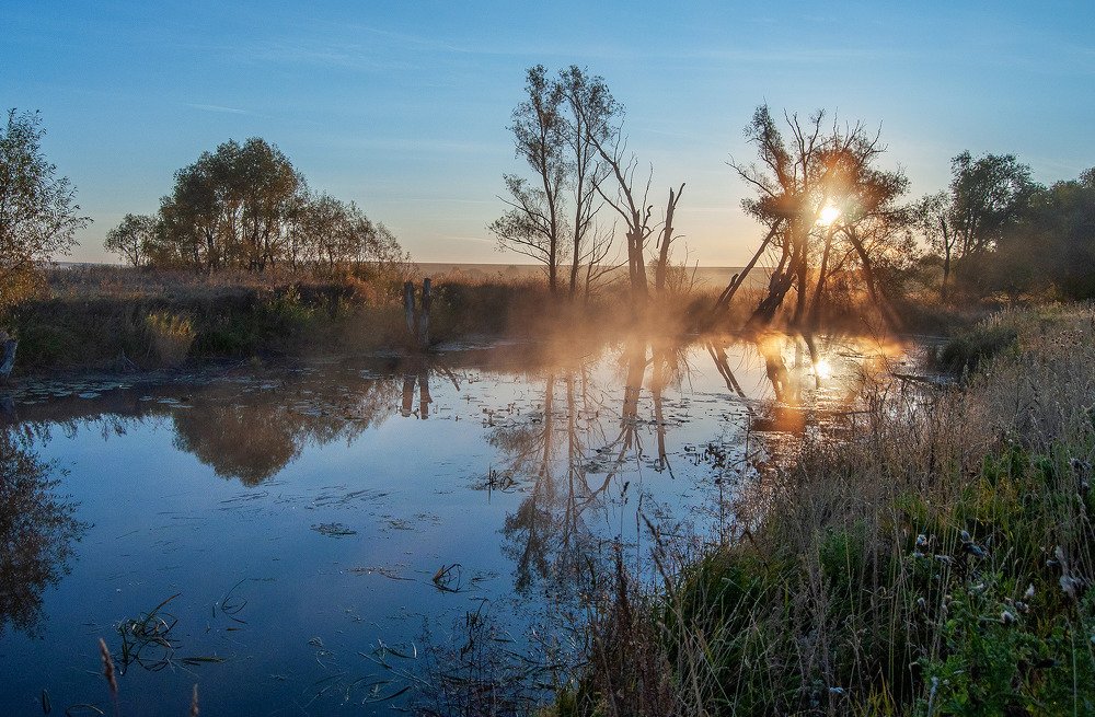 Photograph by Andres Ganenkoff