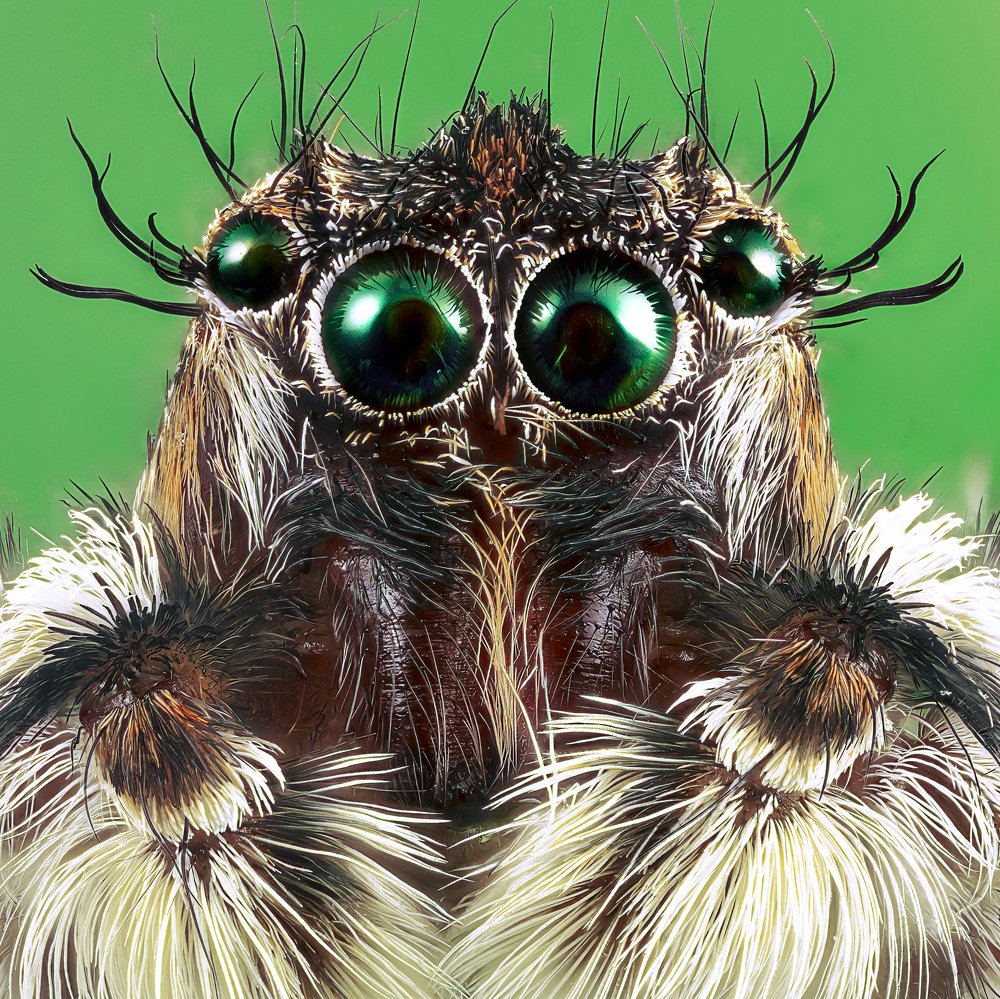 Photograph by Shams Vida