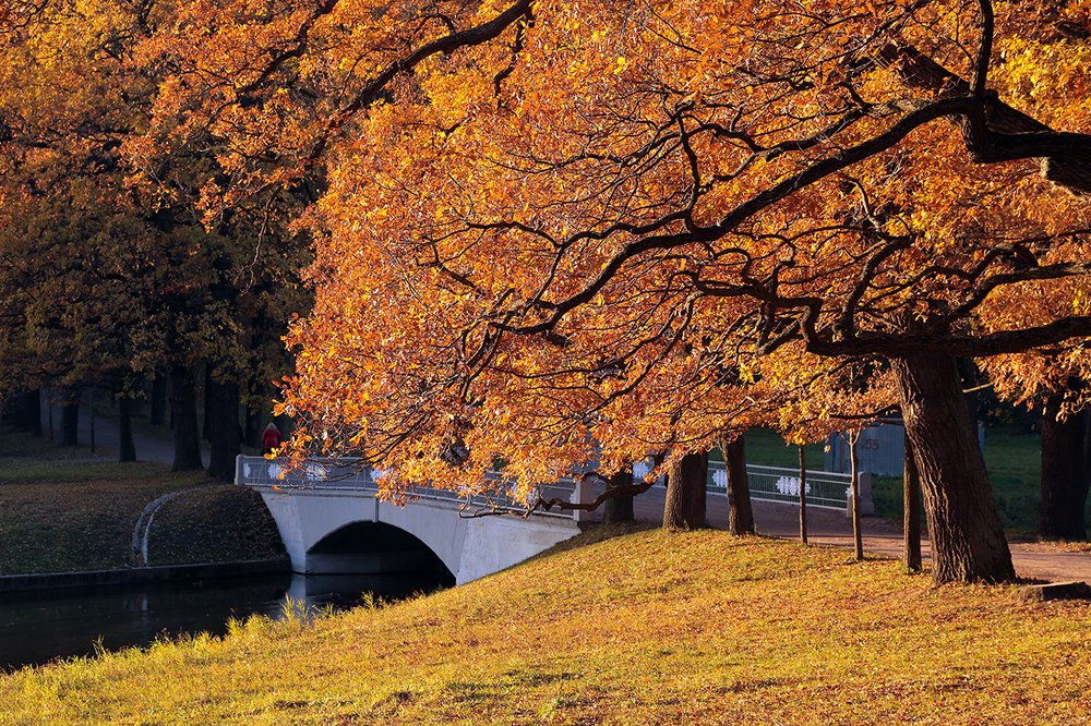 Photograph by Борис Кузнецов