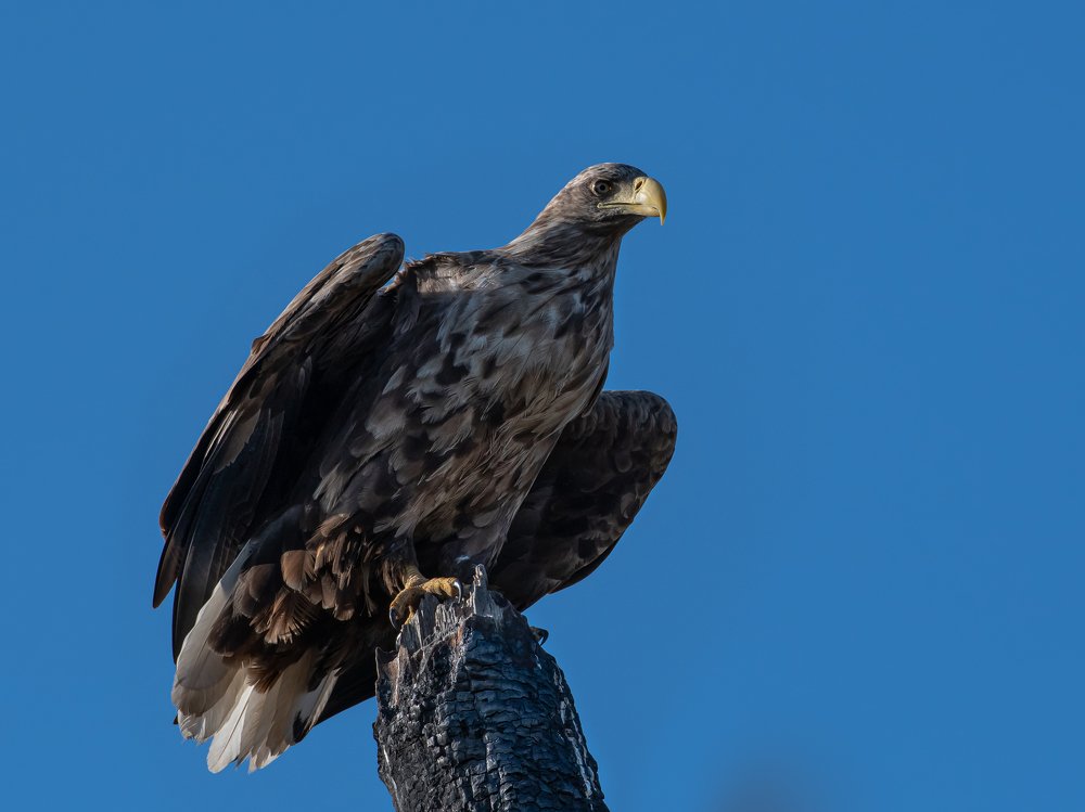 Photograph by Андрей Иванов