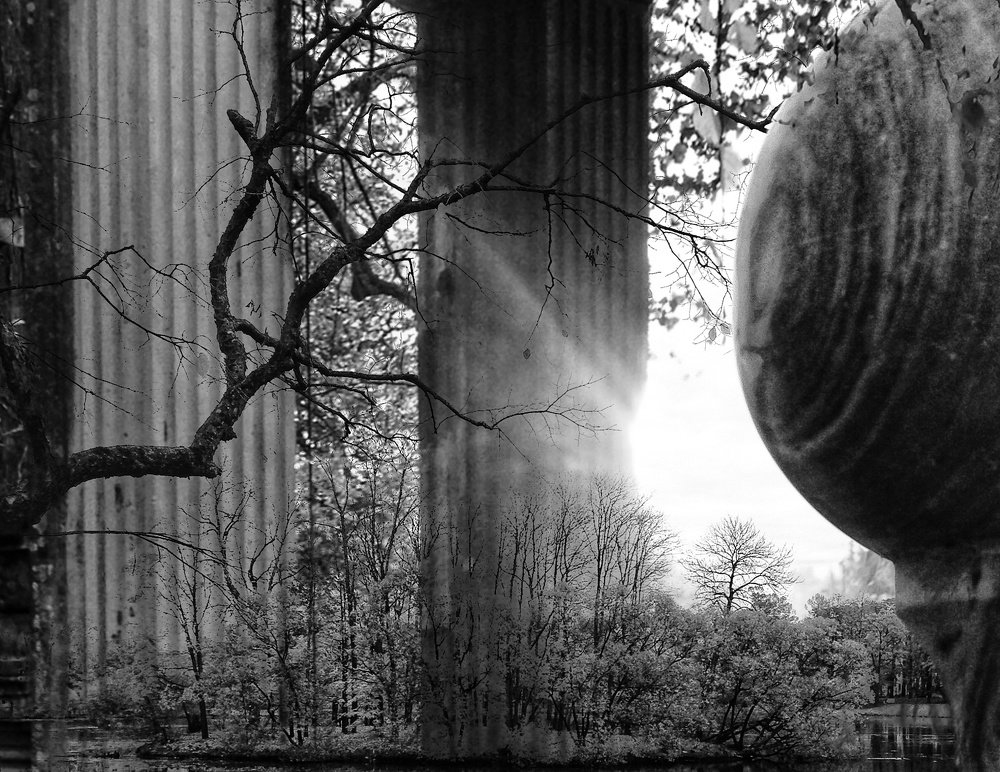 Photograph by Елена Амосова