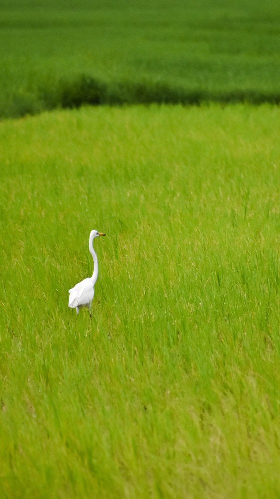 Photograph by Aditya Sahu