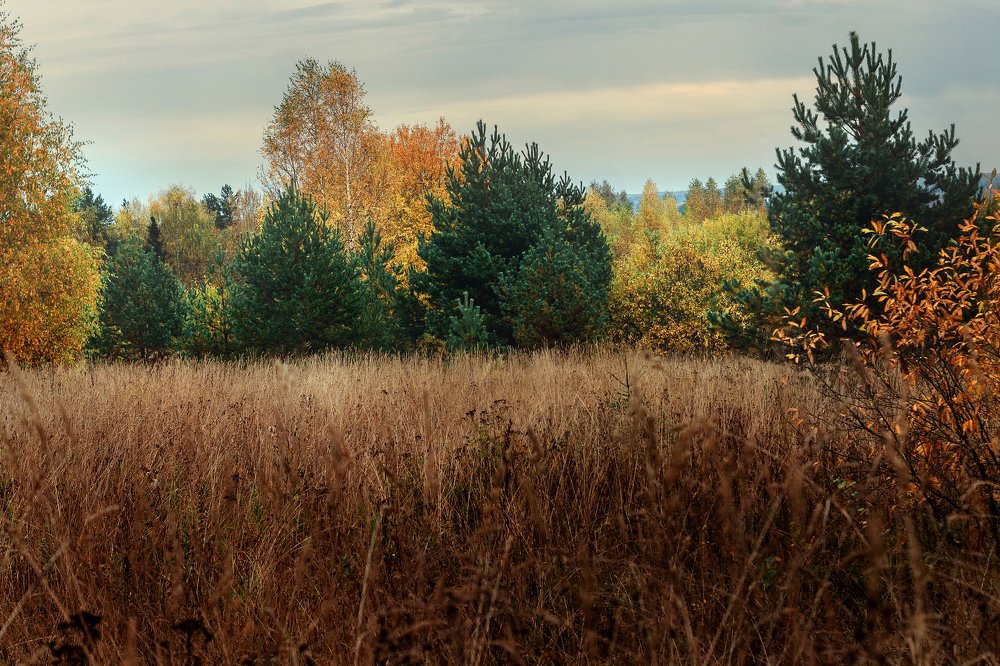 Photograph by Ольга Цветкова