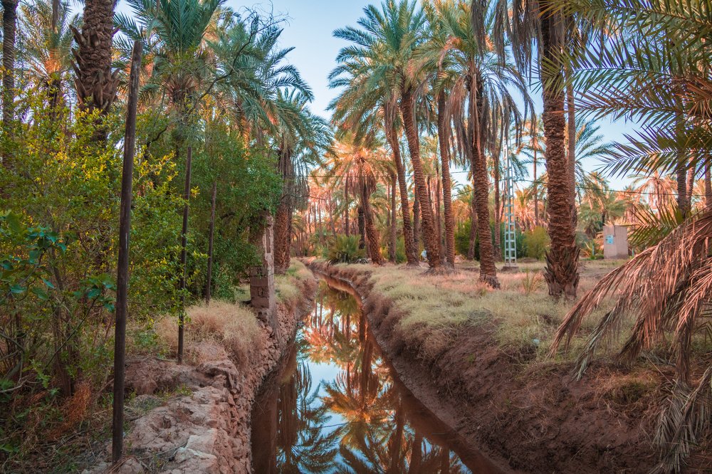 Photograph by Aissa Haffar