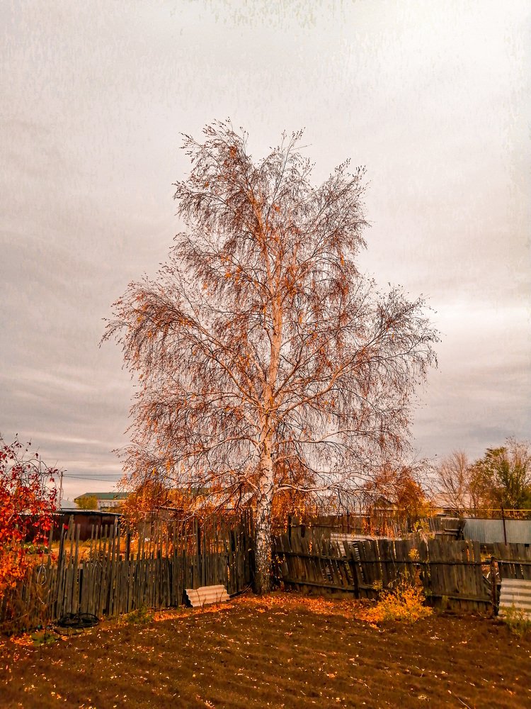 Осень в деревне
