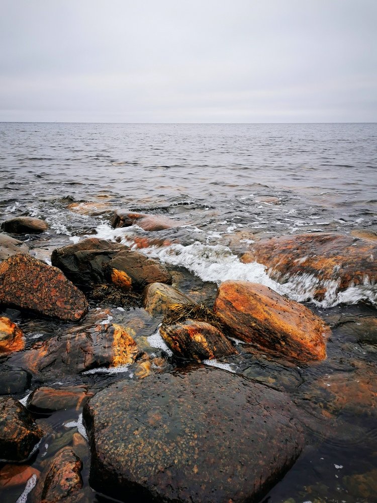 Photograph by Елена Артёменко