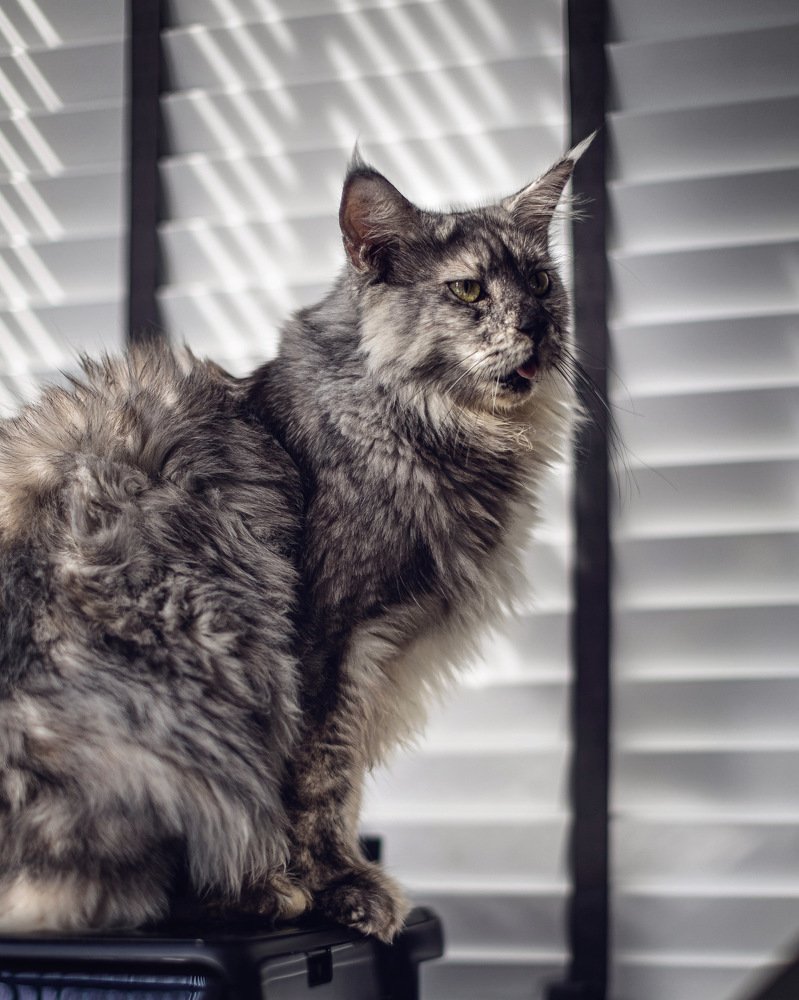 Photograph by Елена Цырюк