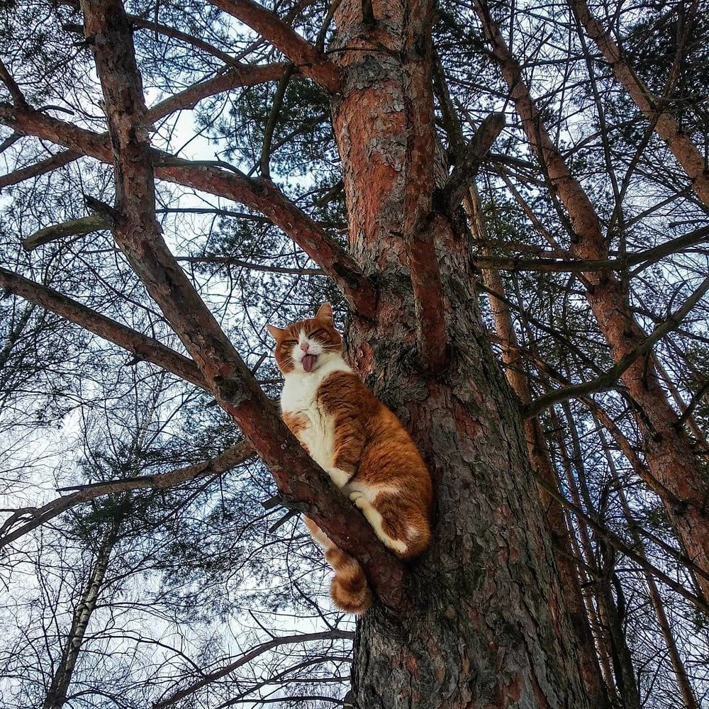 Photograph by Анастасия Мусина