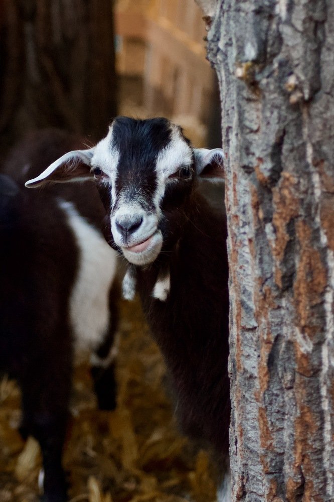 Photograph by Анастасия Полищук