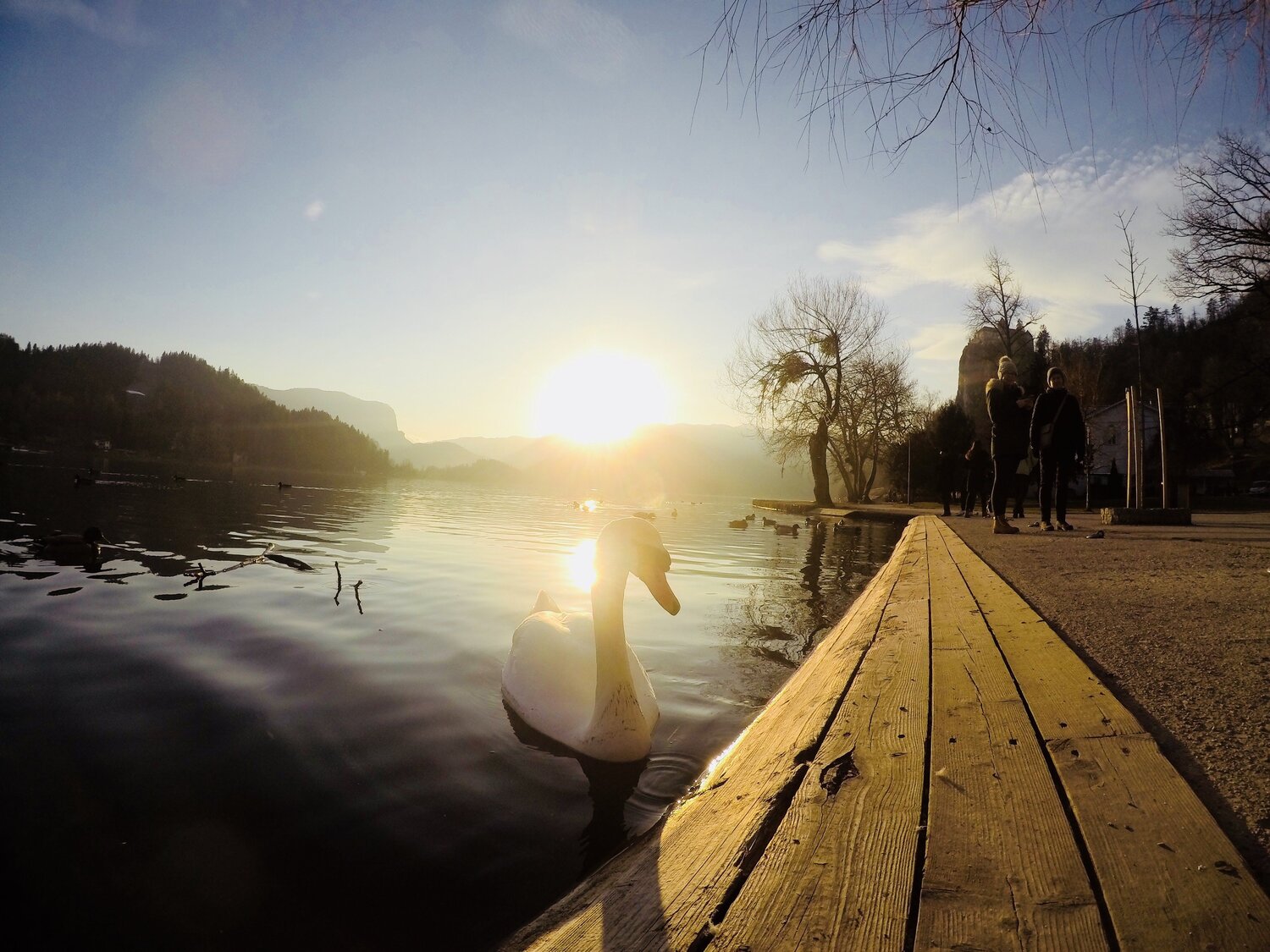 Photo #5049717