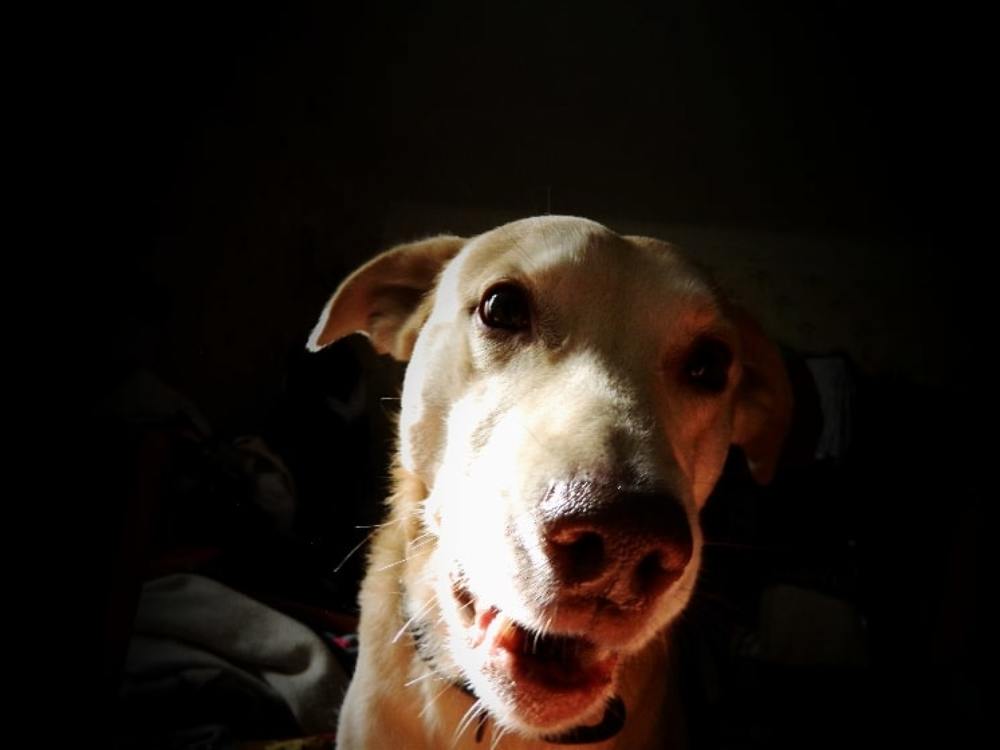 Photograph by Сергей Рапопорт