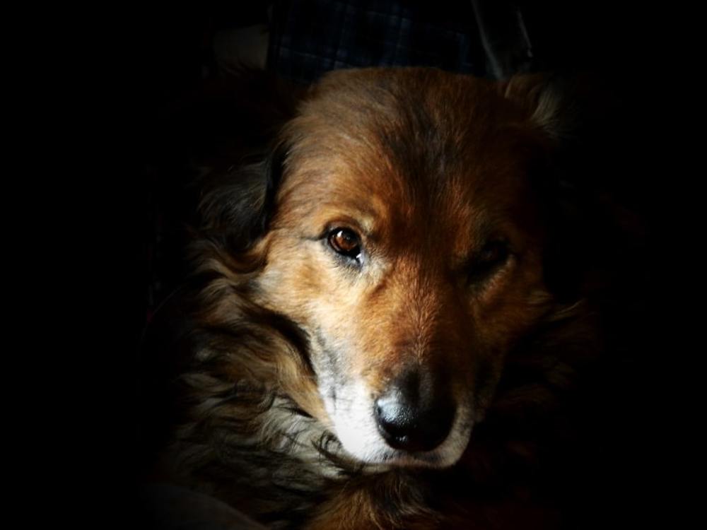 Photograph by Сергей Рапопорт