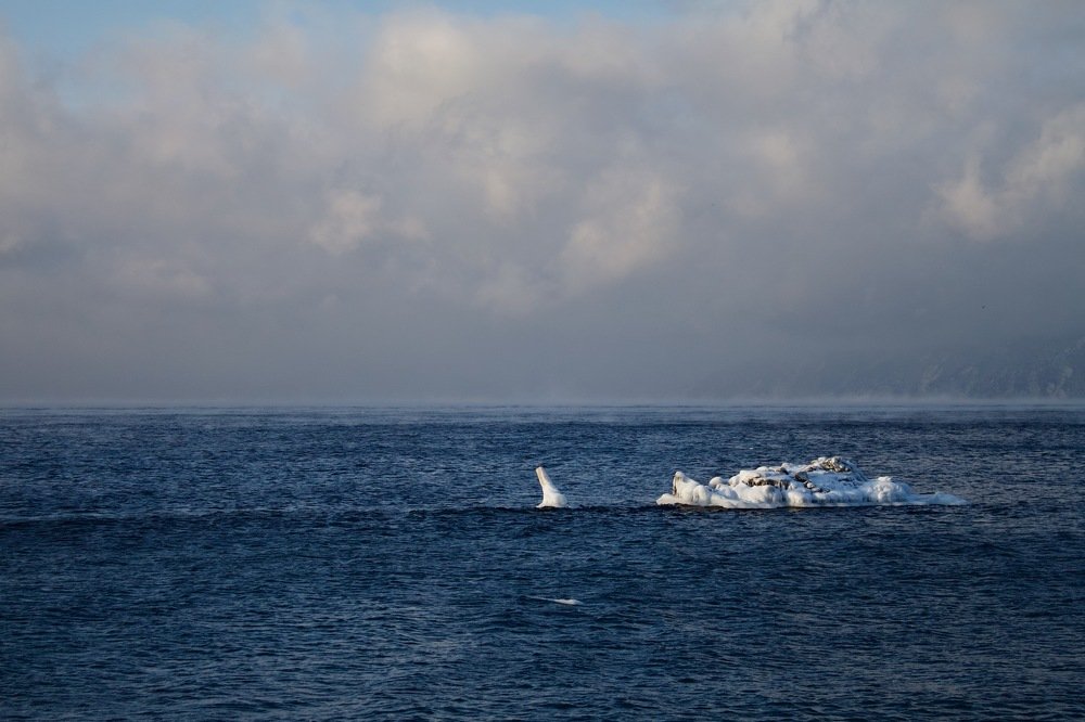 Photograph by Анастасия Полищук