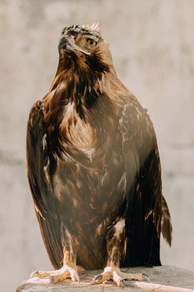 Photograph by Андрей Ероха